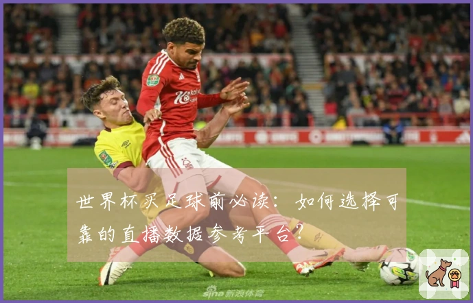 世界杯买足球前必读：如何选择可靠的直播数据参考平台？
