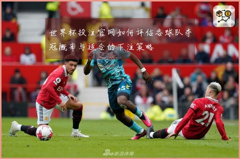 世界杯投注官网如何评估各球队夺冠概率与适合的下注策略