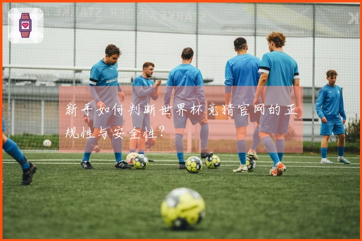 新手如何判断世界杯竞猜官网的正规性与安全性？